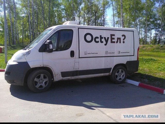 Прикольные картинки 14.06.2017.