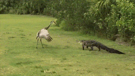 Тише-тише...спокойно, парень, спокойно...тише-тише...