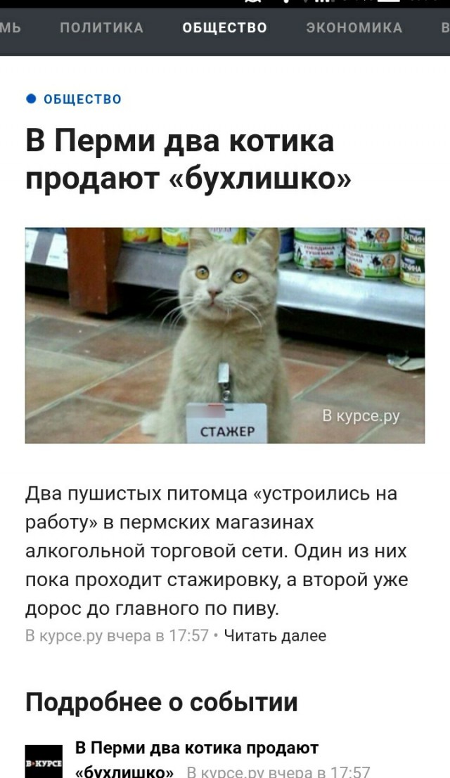 Поющий фонтан в Сочи лишил первокурсницу девственности