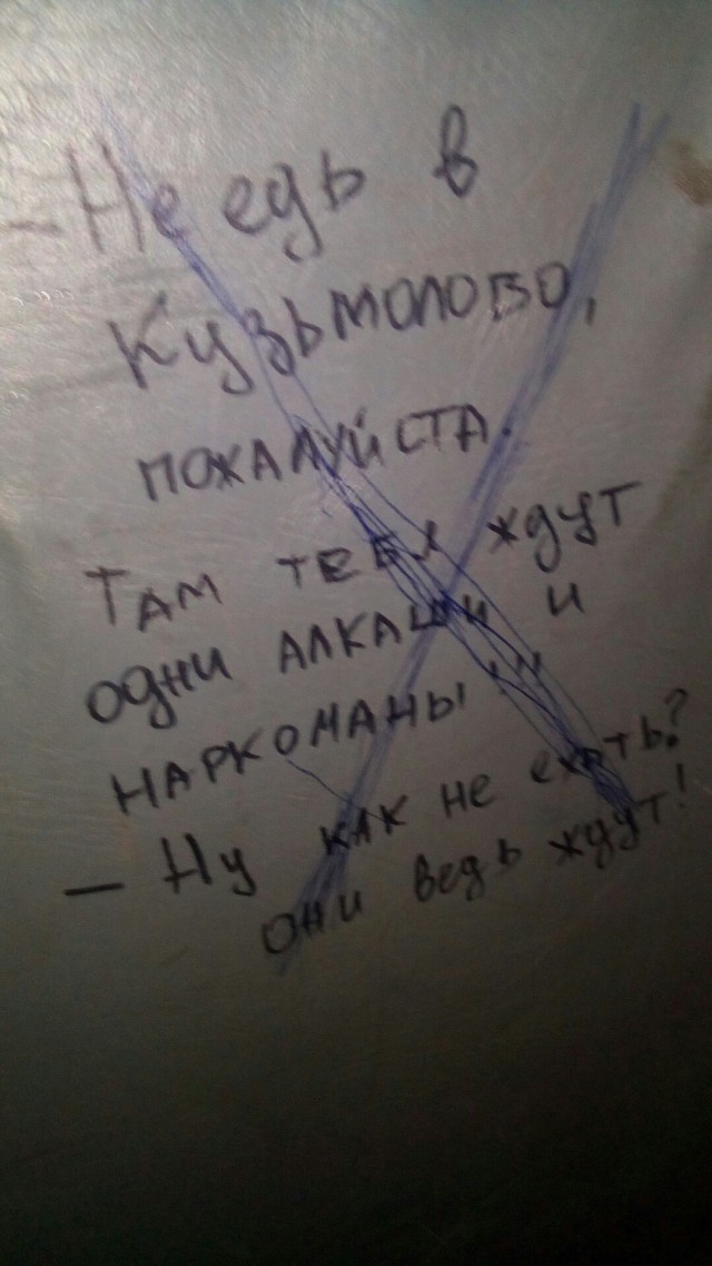 Скотсети и прочие интернеты 13.06.18