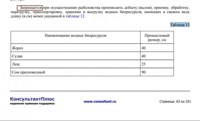 Отдых и рыбалка