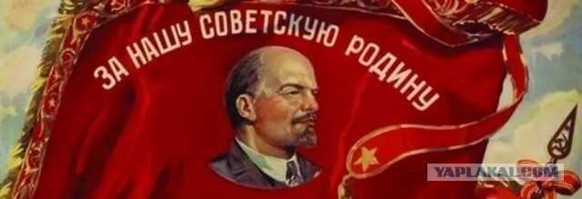 В Геленджике подполковник полиции пришел в ветклинику и отказался надевать маску. Потом достал лист А4 и составил протокол
