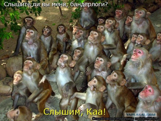 Зеленый свет