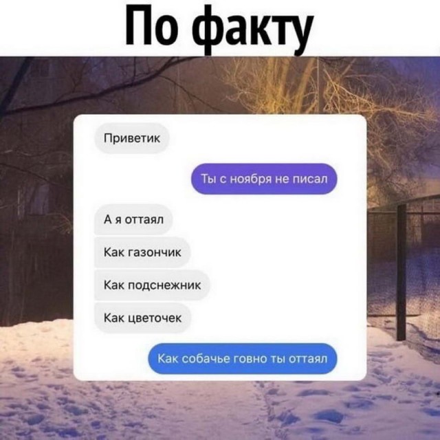 Картинки и мемы для настроения