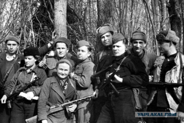 Жители посёлка Красный Бор в Ленобласти с кирпичами и досками вышли на тропу войны