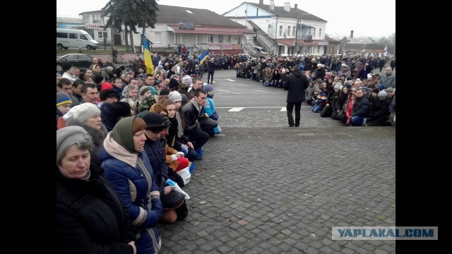 А подсолнечное масло теперь - удел олигархов