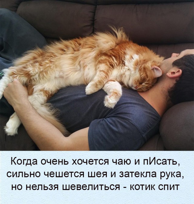 Всякие разные картинки 019
