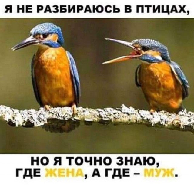 Картинки и мемы для настроения 26.08.2021