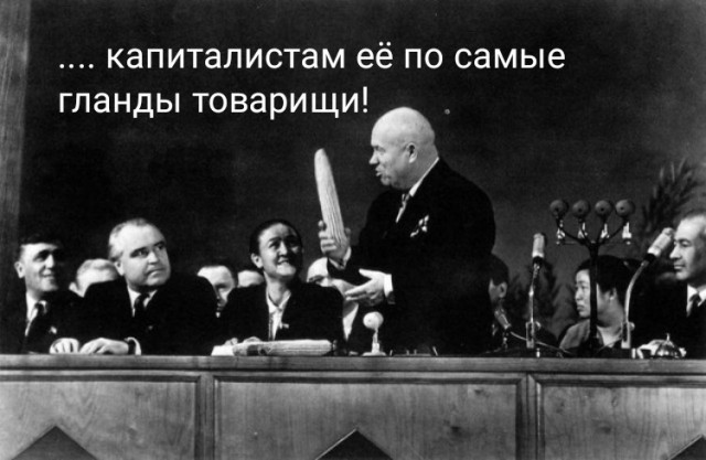 17 исторических снимков, которые как шкатулка с новыми знаниями о событиях прошлого