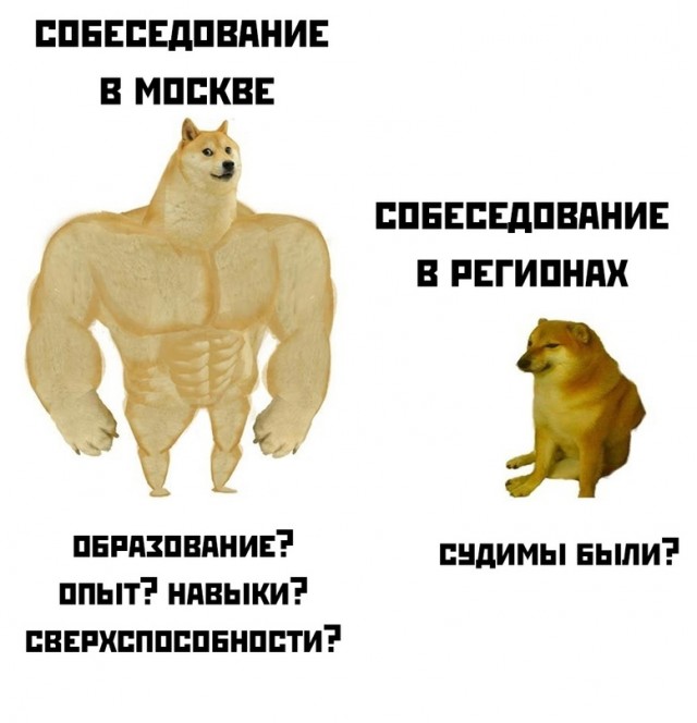 Весёлый полтишок 09.11