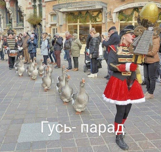 Картинки и мемы для настроения 25.11.2021