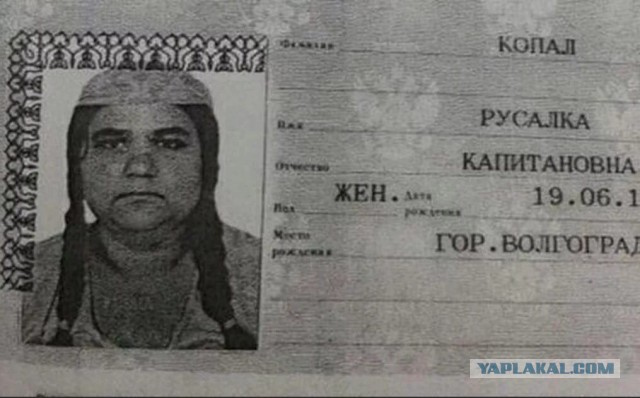 Должник-двойник