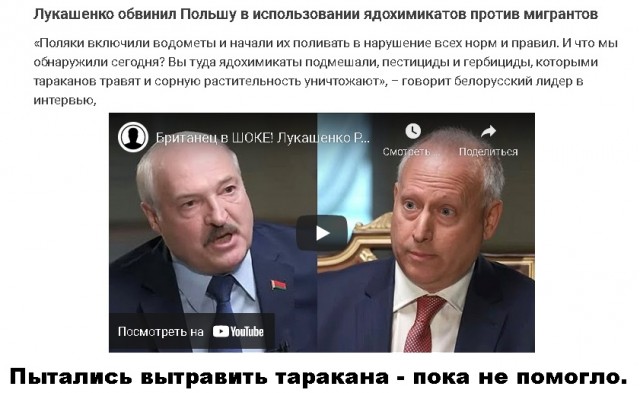 Всяческие картинки 08.12.2021
