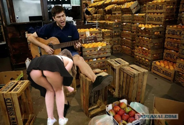 Фотожаба: Музыкант