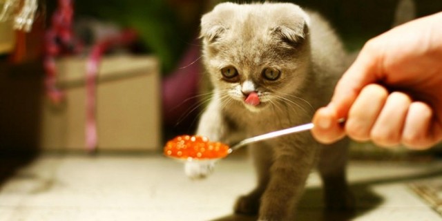 Рязанский отшельник закончил свой путь земной