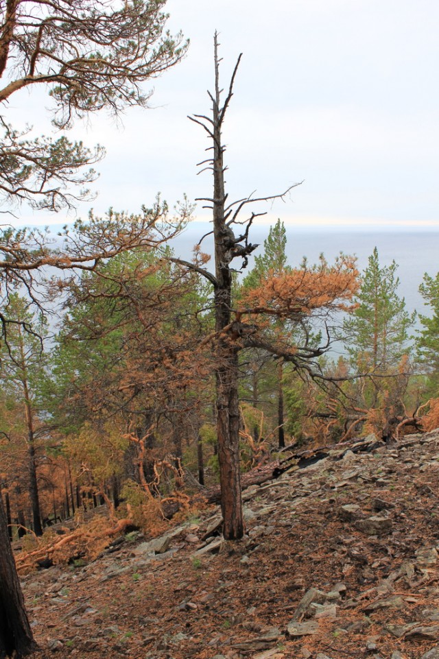 Байкал, 2011