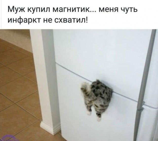 40 картинок разных 31.03.2022