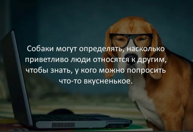 70 удивительных фактов