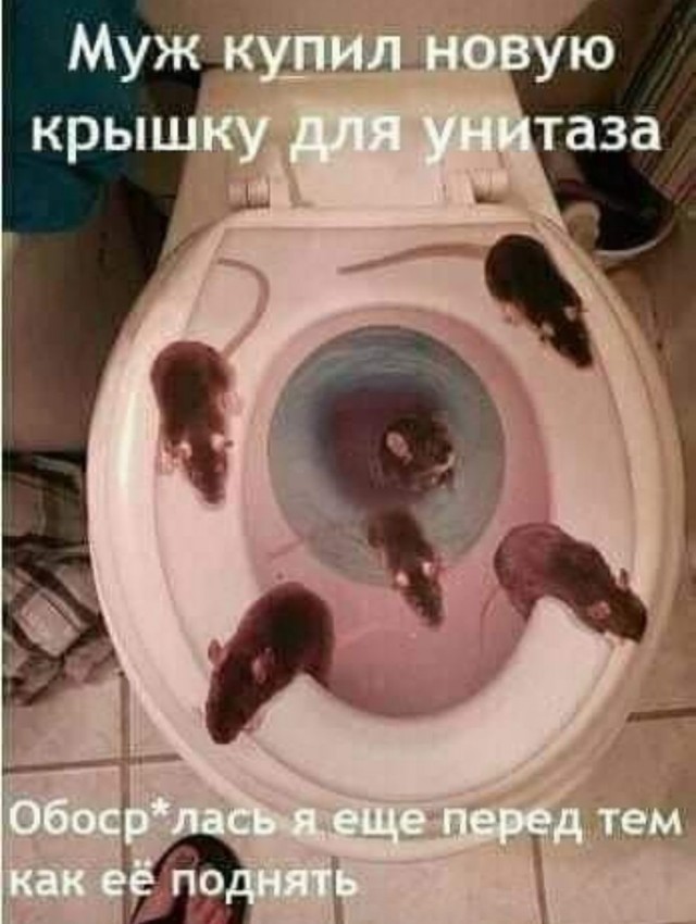 Так себе картинки 17.05.22