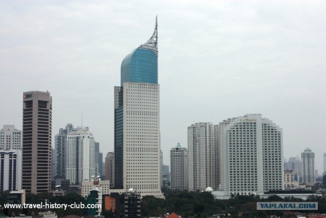 Они живут только 40 лет