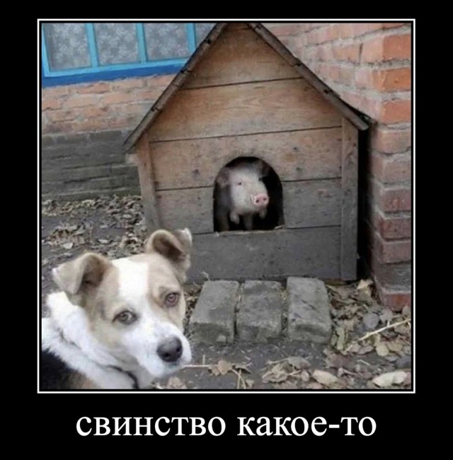 Так себе картинки 30.08.22