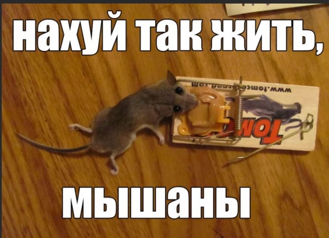 Пандемия съехавших крыш - разновидности болезни. Россия и мир. Часть 41.