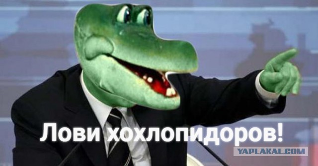 Путин призвал глав Центральной Азии к диалогу с талибами* в Афганистане