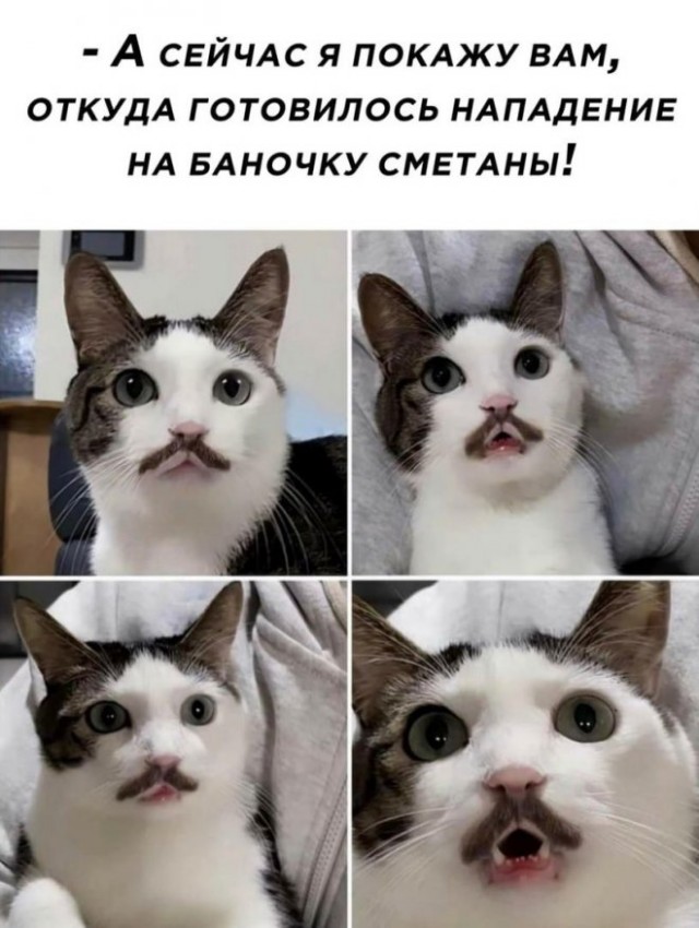 Картинки и мемы. Выходные близко...