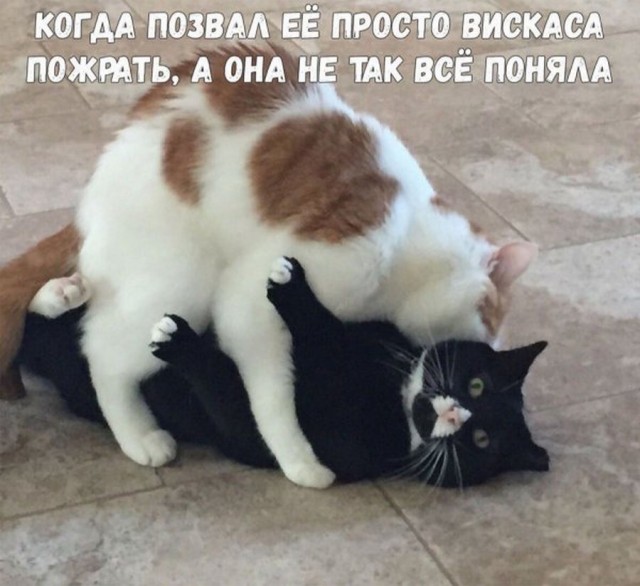 Поржать немного с утра!