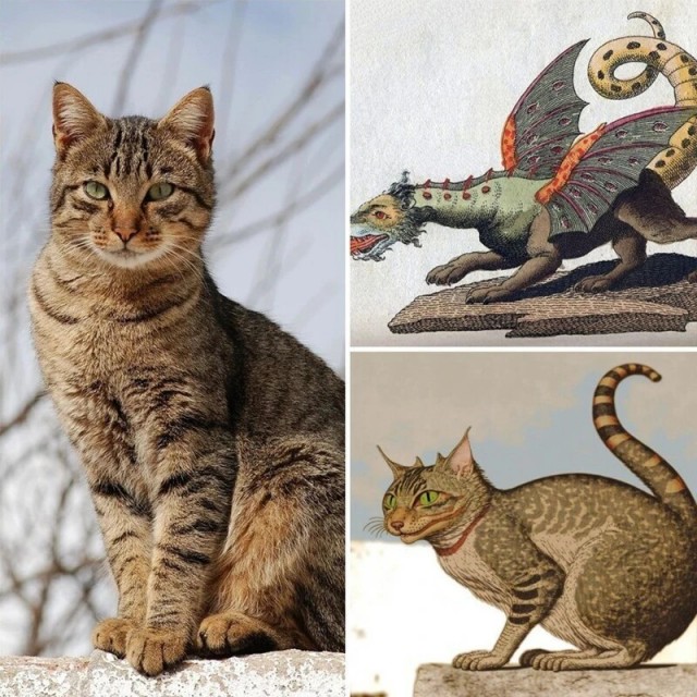 Кот-булка, красавчик Шрек и другие чудеса нейросети Midjourney