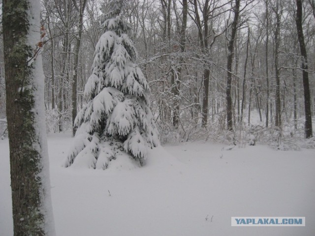 Деревенская Америка