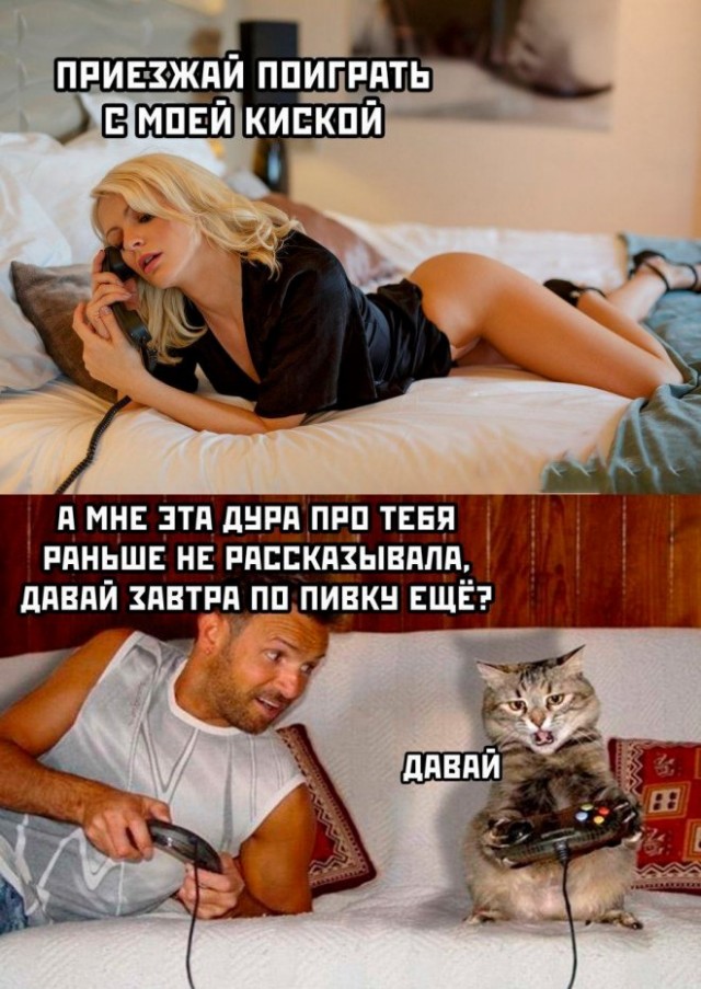 Картинки и мемы, всем хороших выходных