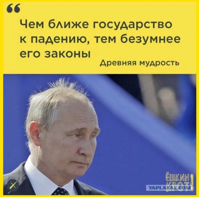 Госдума приняла закон об ответственности за дискредитацию любых участников спецоперации