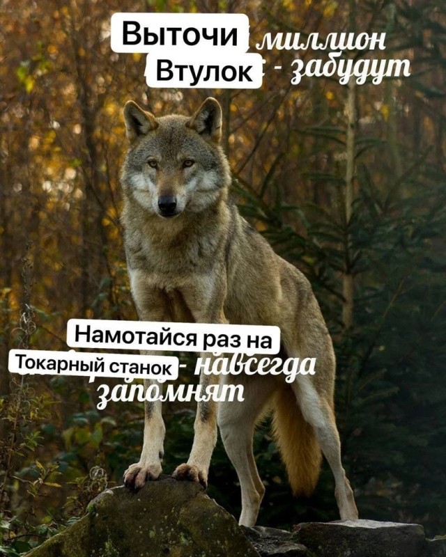 Так себе картинки 19.03.23