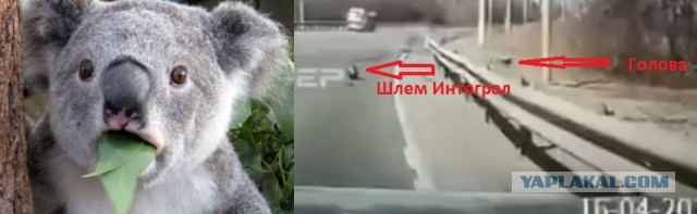 Гибель мотоциклиста под Благовещенском