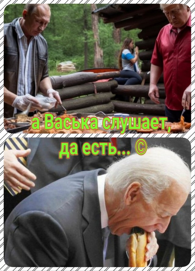 Дачный сезон открыт