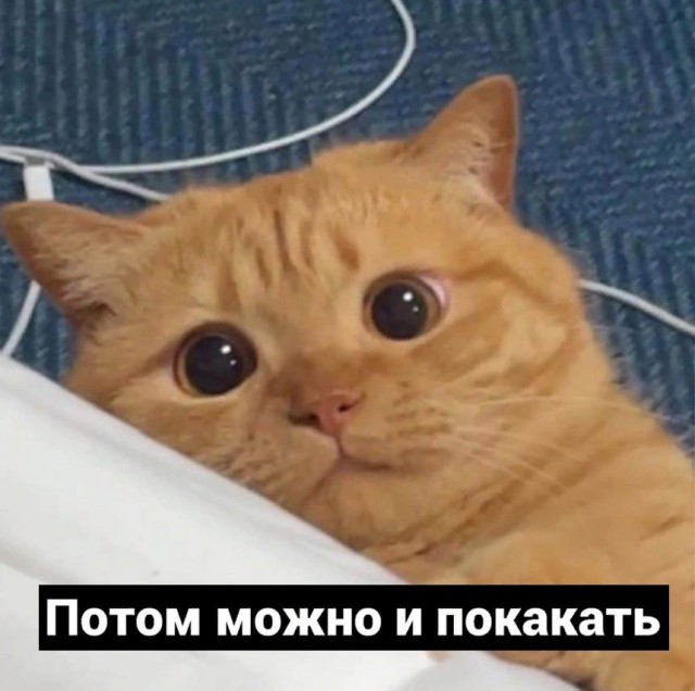 Всего понемногу. И снова пятничный.