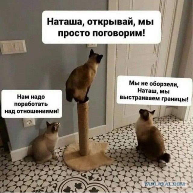 «Вот теперь ты мужчина», — сказала она, радостно схватив его за палку