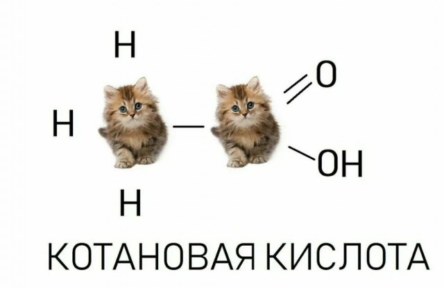 Химия и жизнь