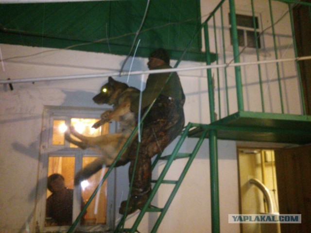 Спасение рядового
