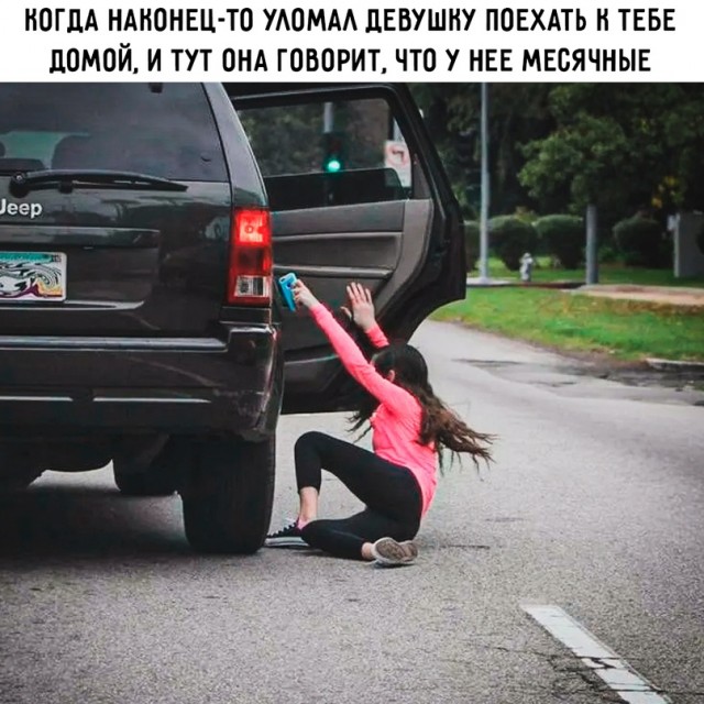 Весёлый полтишок 08.04.24