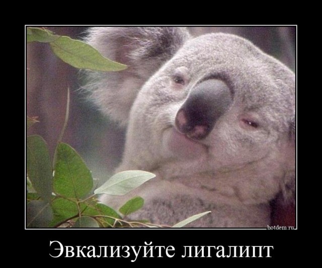 Завалялось тут случайно немного забавных картинок