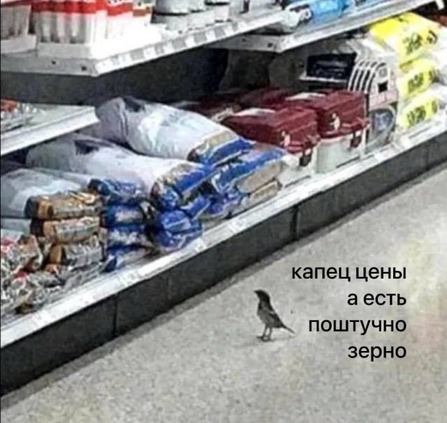 Юмор в картинках и без