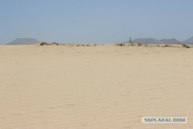 Хочу дачу на канарах!