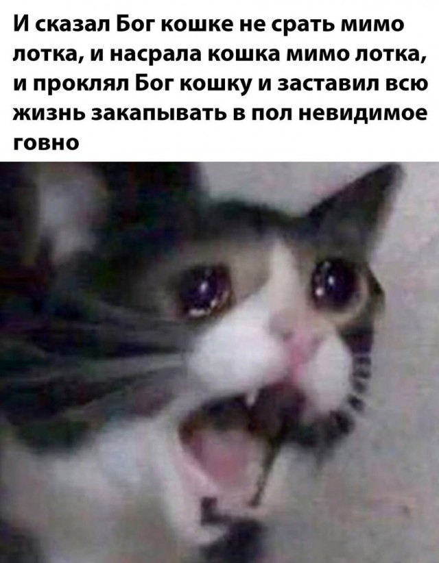 Так себе картинки 24.06.24