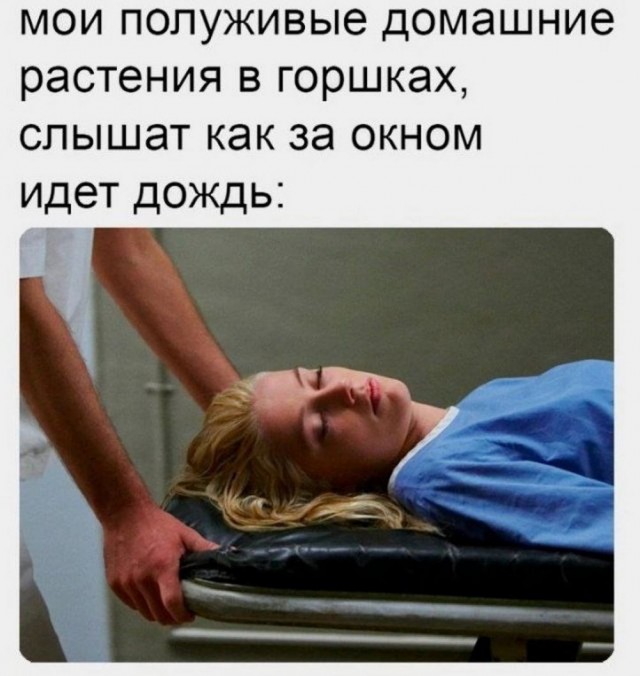 Веселые картики во вторник 29.10