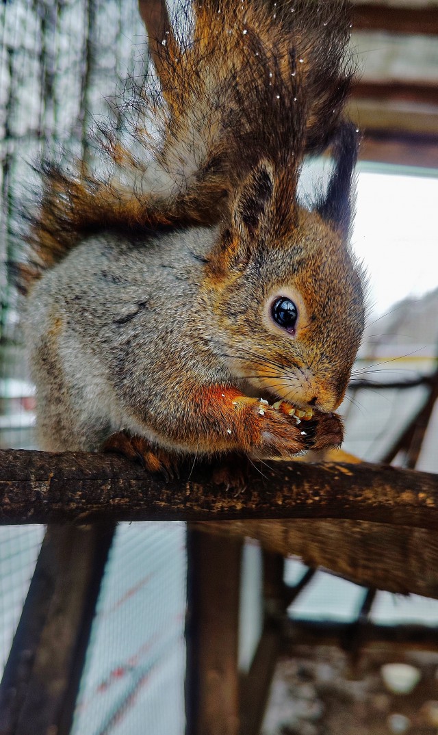 Красивое фото из телефона