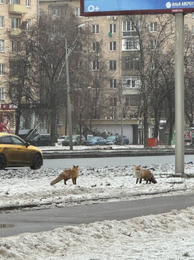 Иногда это мы путаем