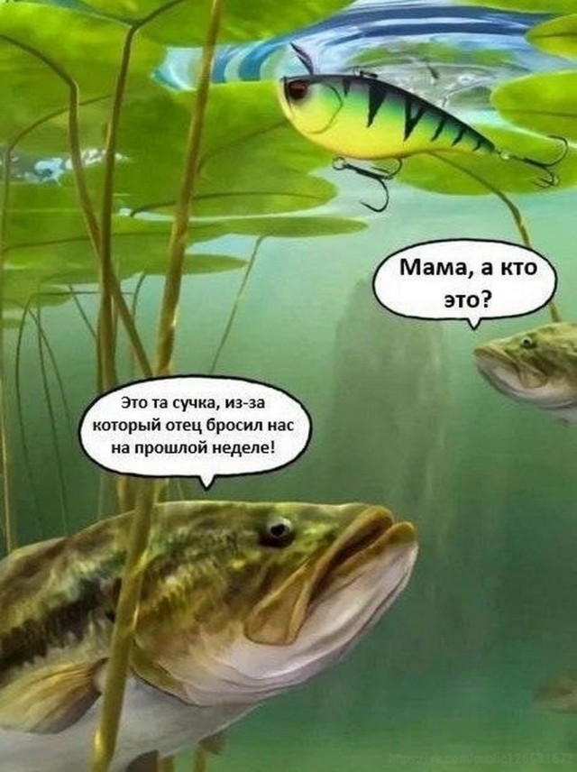 Еб**ины
