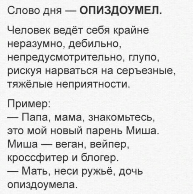 Весёлый полтишок 08.07.25